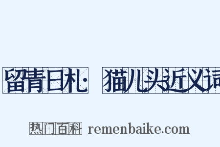留青日札·猫儿头近义词是什么意思的图片